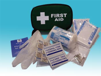 Domestic and Travel First Aid Kit